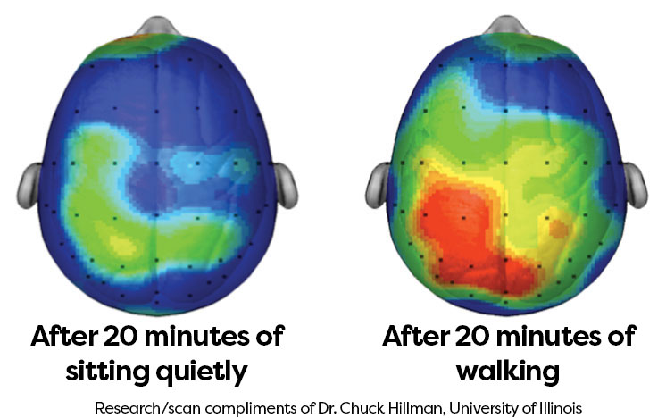 brain activity after exercise